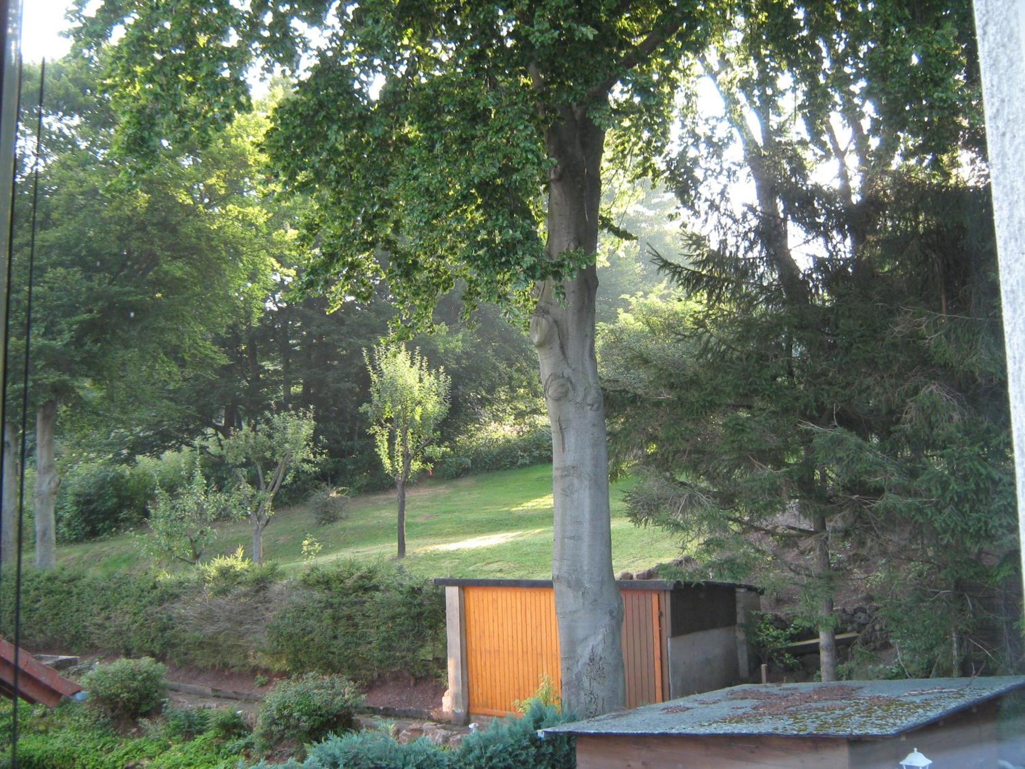 Ferienwohnung Sauerland Panorama Korbach Εξωτερικό φωτογραφία
